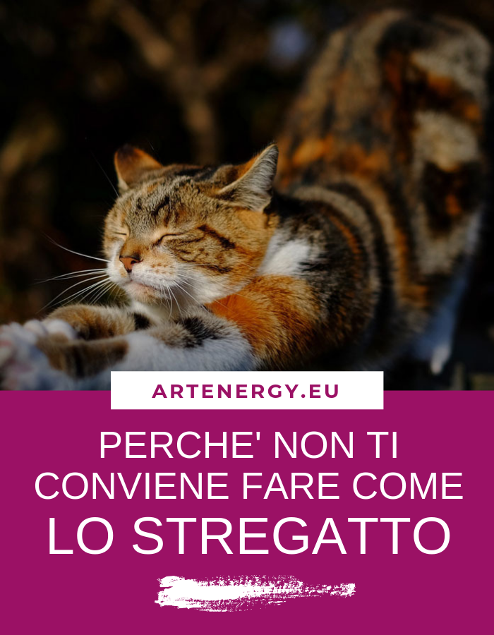 IL BENESSERE DEL CORPO: PERCHE' NON TI CONVIENE FARE COME LO STREGATTO
